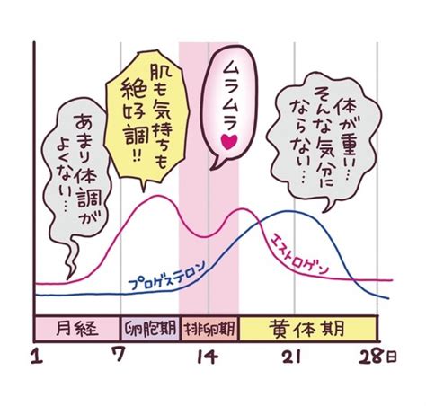 生理と性欲の強い関係！性欲の強くなる時期やタイミ。